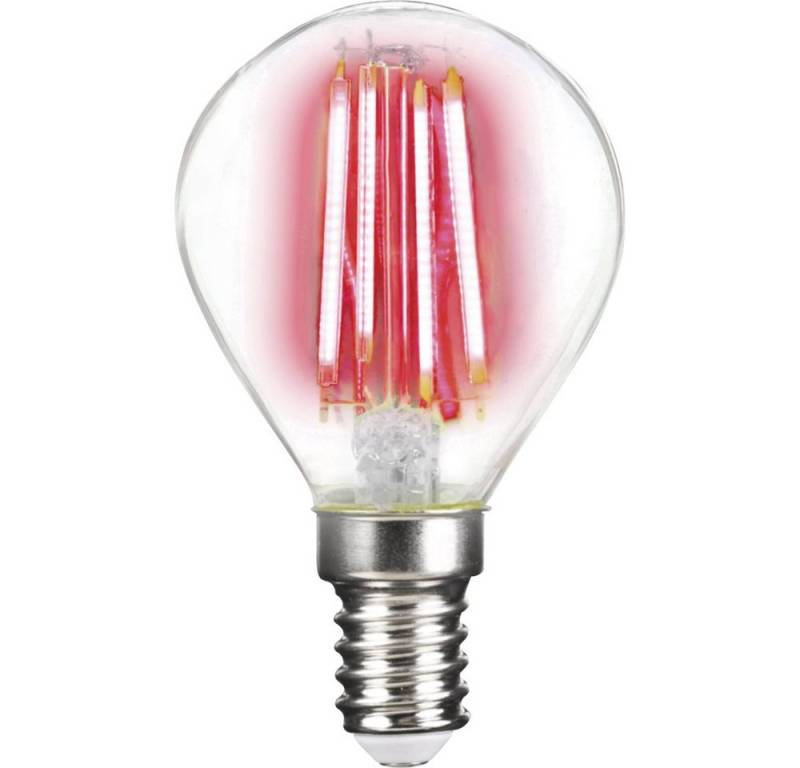 LightMe LED-Leuchtmittel LightMe LM85310 LED EEK G (A - G) E14 Tropfenform 4 W Rot (x L) 45 m von LightMe