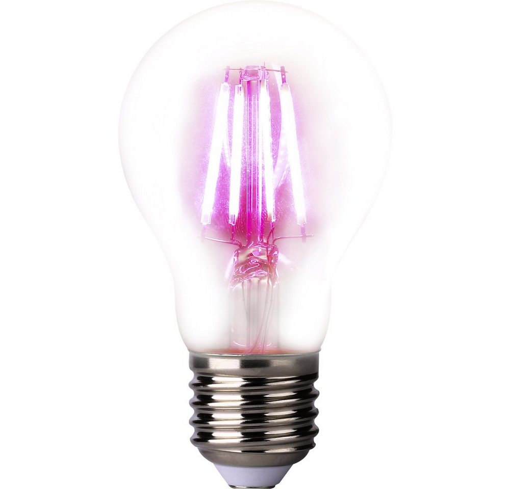 LightMe Pflanzenlampe LightMe LED-Pflanzenlampe LM85320 109 mm 230 V E27 4 W Glühlampenfor LightMe Pflanzenlampe LightMe LED-Pflanzenlampe LM85320 109 mm 230 V E27 4 W Glühlampenfor von LightMe