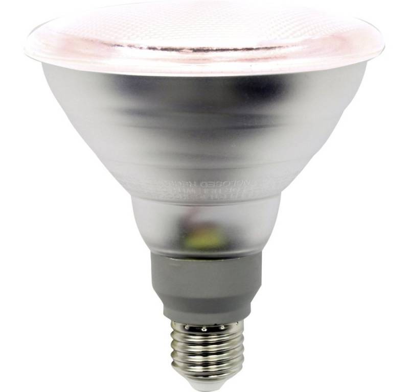 LightMe Pflanzenlampe LightMe LED-Pflanzenlampe LM85322-2 132 mm 230 V, 220 V, 240 V E27 15 von LightMe