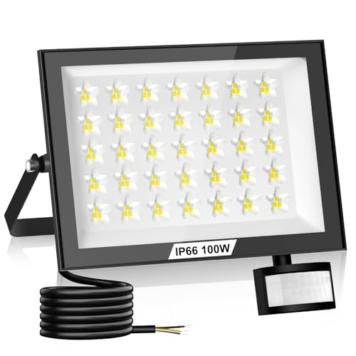 Lightasea 100W LED Strahler mit Bewegungsmelder Außen,10000LM Außenlampe mit Fernbedienung,6500K Kaltweiß Superhell LED Außenstrahler,IP66 Wasserdicht LEDs Fluter,für Garten,Garage,Innenhöfe von Lightasea