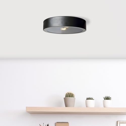 Lightbox Basic Deckenlampe mit Rauchglas Abdeckung - 2-flammige Deckenleuchte - für das Büro - Ø 31 cm - 2 x E14, max. 40 W - aus Metall/Glas - in Schwarz/Rauchglasfarben von Lightbox