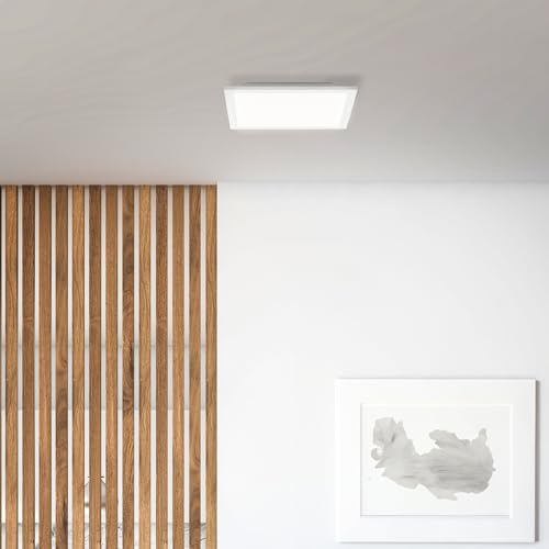 Lightbox Basic LED Aufbaupaneel | 30 x 30 cm | zeitloses Wand- & Deckenpanel mit weißem Rahmen & neutralweißer Lichtfarbe (4000 K) | 1900 lm | für jeden Raum s| aus Aluminium/Kunststoff von Lightbox