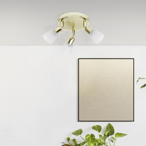 Lightbox Basic Spotrondell - 19 cm Breite - Ø 20 cm - Deckenstrahler mit Glas Schirmen & schwenkbaren Köpfen - 3 x E14, max. 40 W - aus Metall/Glas - in Messingfarben/Weiß-Alabaster von Lightbox
