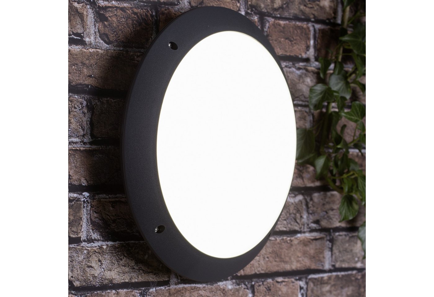 Lightbox Außen-Wandleuchte, LED fest integriert, kaltweiß, LED Außen Wand- & Deckenlampe, Ø 31 cm, 12 W, 1400 lm, IP66, anthrazit von Lightbox