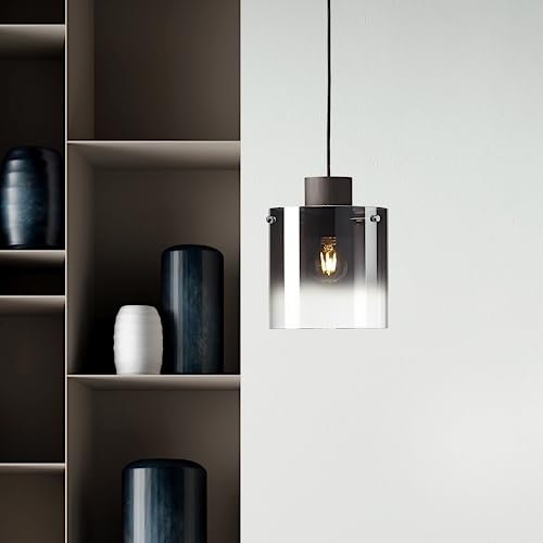 Lightbox Hängelampe - Pendelleuchte mit Glas Schirm & kürzbarem Kabel - 120 cm Höhe - E27 Fassung - max. 60 W - Ø 20 cm - aus Metall/Glas in Kaffeefarben/Rauchfarben von Lightbox