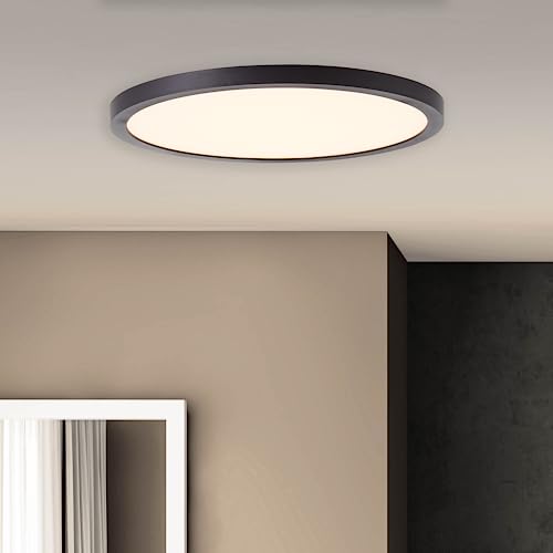 Lightbox LED Aufbaupaneel mit schwarzen Rahmen & warmweißer Lichtfarbe (2700 K) - Ø 25 cm - funktionale Wand- & Deckenpanel - für jeden Rarum - 2100 lm - aus Kunststoff - in Schwarz/Weiß von Lightbox