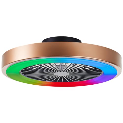 Lightbox LED Deckenlampe mit Ventilator & RGB Front Light & CCT Center Light (3000-6500 K) - dimmbar per Fernbedienung - Deckenleuchte - Ø 49 cm - aus Kunststoff/Metall - in Schwarz Goldfarben von Lightbox