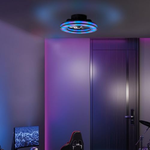 Lightbox LED Deckenlampe mit leisem Ventilator & RGB-Front Light | Ø 42 | schwarze Deckenleuchte | Gaming Lampe dimmbar | per Fernbedienung | 26 W | 2700-6500 K | 3100 lm | aus Kunststoff von Lightbox