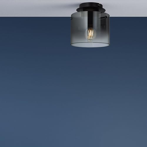 Lightbox moderne Deckenlampe mit Ø 20 cm - Deckenleuchte mit Glas Schirm - E27 Fassung - max. 60 W - aus Glas/Metall - in Kaffeefarben/Rauchfarben von Lightbox