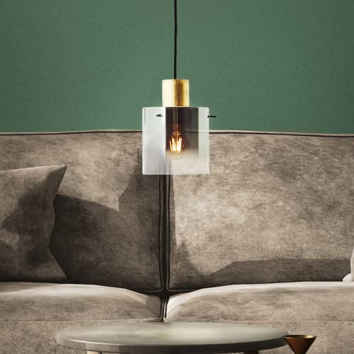 Lightbox moderne Hängelampe - Pendelleuchte mit dekorativem Glas-Schirm - in der Höhe kürzbar - Metall/Glas Gold/Rauchglas - 15cm Durchmesser von Lightbox