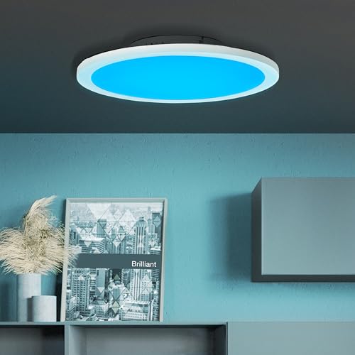 Lightbox modernes LED Panel Aufbaupaneel Durchmesser 40cm - Dimmbare Deckenlampe mit RGB und Fernbedienung - Metall/Kunststoff Weiß von Lightbox