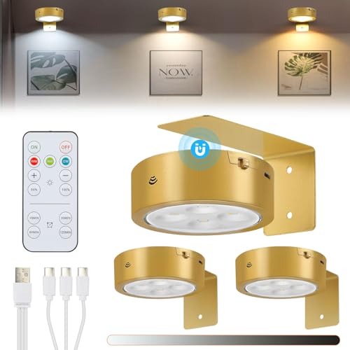 Lightsjoy LED Bilderleuchte Kabellos 3Pack Bilderleuchte Akku USB Aufladbar Goldene Bilderrahmen Beleuchtung mit Fernbedienung, 3 Farbtemperaturen Dimmable Dart Bilderlampe Magnetische mit Timer von Lightsjoy