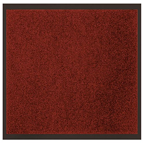 douceur d'Intérieur 1740301 Tapis Anti - 1740301, Schmutzfangmatte Rechteck , 80 X 120 Cm , Uni , Eingangsmatte , Rot von Douceur d'Intérieur