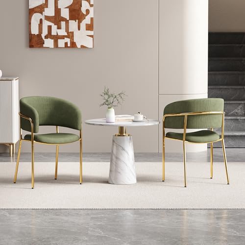 Ligterra 2er Set Moderne Stühle mit Schrägstuhlbein Höhenverstellbare Füße & Ideal für Wohnzimmer, Offene Bürofläche, Für Wohnzimmer, Esszimmer, Homeoffice Green von Ligterra