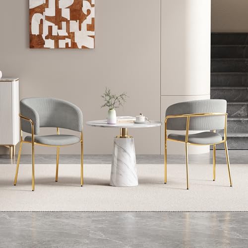 Ligterra 2er Set Moderne Stühle mit Schrägstuhlbein Höhenverstellbare Füße & Ideal für Wohnzimmer, Offene Bürofläche, Für Wohnzimmer, Esszimmer, Homeoffice Grey von Ligterra
