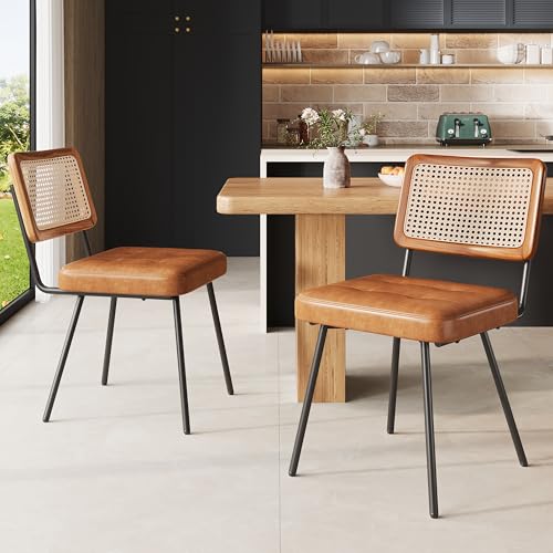 Ligterra Esszimmerstuhl aus Kunstleder, Rattan-Loungesessel, Schminkstuhl, Ergonomischer Stuhl Leichter Luxusstuhl Retro-Stuhl, 2 Stück (Braun) von Ligterra