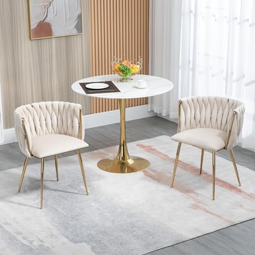 Ligterra Samt Stuhl, Schalenstuhl mit Armlehne, Esszimmerstühle, Sessel Modern mit Goldenen Metallbeinen und Weichen Kissen für Esszimmer, Wohnzimmer und Schlafzimmer (2er-Set, Beige) von Ligterra