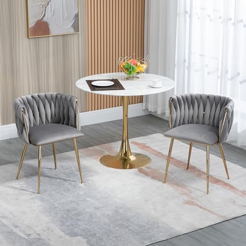 Ligterra Samt Stuhl, Schalenstuhl mit Armlehne, Esszimmerstühle, Sessel Modern mit Goldenen Metallbeinen und Weichen Kissen für Esszimmer, Wohnzimmer und Schlafzimmer (2er-Set, Grau) von Ligterra