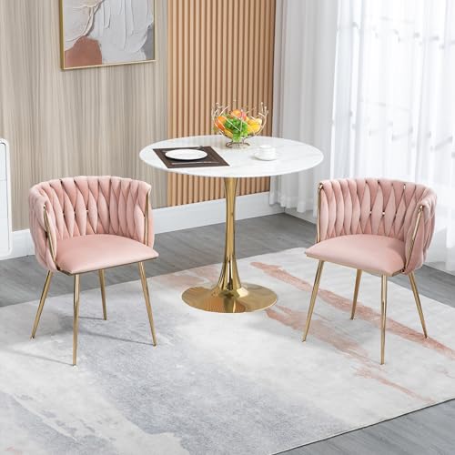 Ligterra Samt Stuhl, Schalenstuhl mit Armlehne, Esszimmerstühle, Sessel Modern mit Goldenen Metallbeinen und Weichen Kissen für Esszimmer, Wohnzimmer und Schlafzimmer (2er-Set, Rosa) von Ligterra