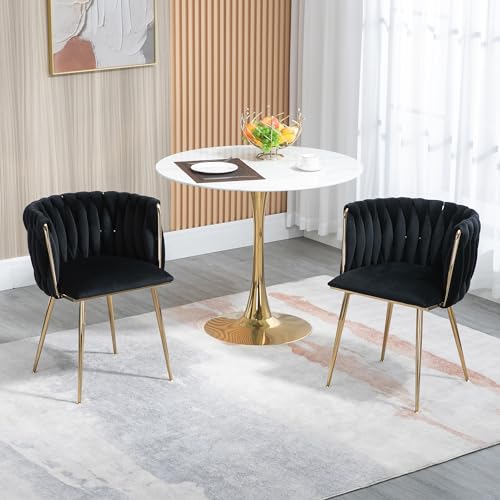 Ligterra Samt Stuhl, Schalenstuhl mit Armlehne, Esszimmerstühle, Sessel Modern mit Goldenen Metallbeinen und Weichen Kissen für Esszimmer, Wohnzimmer und Schlafzimmer (2er-Set, Schwarz) von Ligterra