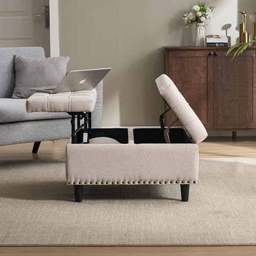 Ligterra Sitzbank mit Stauraum, Großer Quadratischer Aufbewahrungsstuhl, Anhebbare Bank mit Stauraum, geeignet für Wohnzimmer Schlafzimmer Arbeitszimmer Gepolsterte Aufbewahrungsbox(Beige) von Ligterra
