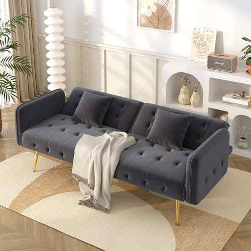 Ligterra Sofa mit Schlaffunktion, Sofa 2 Sitzer, Schlafsofa Klein, Veloursbezug, Verstellbarer Rückenlehne + mehrstelligen Armlehnen, Faltsofabett für Wohnzimmer (Grau) von Ligterra