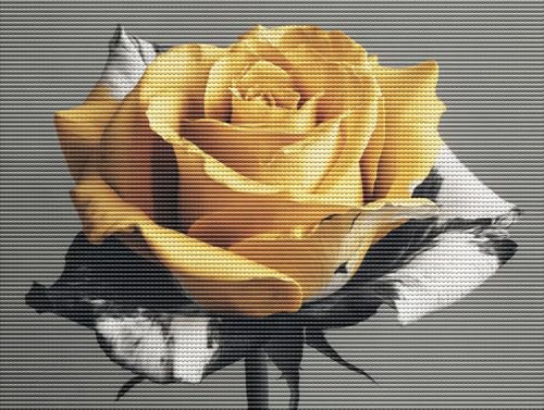 Diamond Painting Adulte Gelbe Rosen 5D Diamant Painting Erwachsene & Anfänger, DIY Full Drill Diamant Broderie Kit, Home Decor Wandkunst Wohnzimmer Schlafzimmer Büro, Geschenke, 40x50cm D-422 Diamond Painting Adulte Gelbe Rosen 5D Diamant Painting Erwachsene & Anfänger, DIY Full Drill Diamant Broderie Kit, Home Decor Wandkunst Wohnzimmer Schlafzimmer Büro, Geschenke, 40x50cm D-422 von Liguolnn