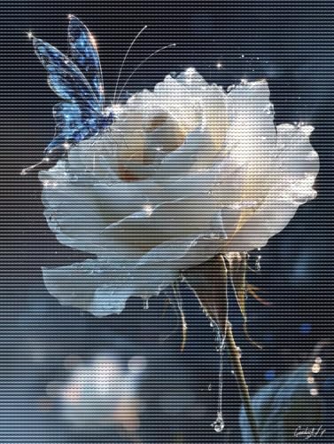 Diamond Painting Adulte Schmetterlinge Monatsblumen 5D Diamant Painting Erwachsene & Anfänger, DIY Full Drill Diamant Broderie Kit, Home Decor Wandkunst Wohnzimmer Schlafzimmer Geschenke 60x80cm D-320 Diamond Painting Adulte Schmetterlinge Monatsblumen 5D Diamant Painting Erwachsene & Anfänger, DIY Full Drill Diamant Broderie Kit, Home Decor Wandkunst Wohnzimmer Schlafzimmer Geschenke 60x80cm D-320 von Liguolnn