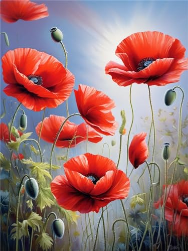 Diamond Painting Erwachsene, Rote Mohnblumen 5D Malen Nach Zahlen Erwachsene Diamant Painting Bilder Kinder, Mosaik Bastelset Kinder Diamond Painting Weihnachten für Geschenk Home Dekor(20x30cm)-7M von Lihogbo