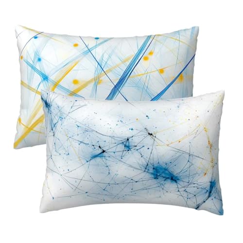 Kissenbezug 30x50 cm Blau Kissenbezüge 2er Set, Samt Sofakissen Dekokissen Kopfkissenbezug, Zierkissen Bezug Beidseitiger Druck für Kissen Deko Wohnzimmer Schlafzimmer Sofa Hotel, Flippig Muster W-60 von Lihogbo