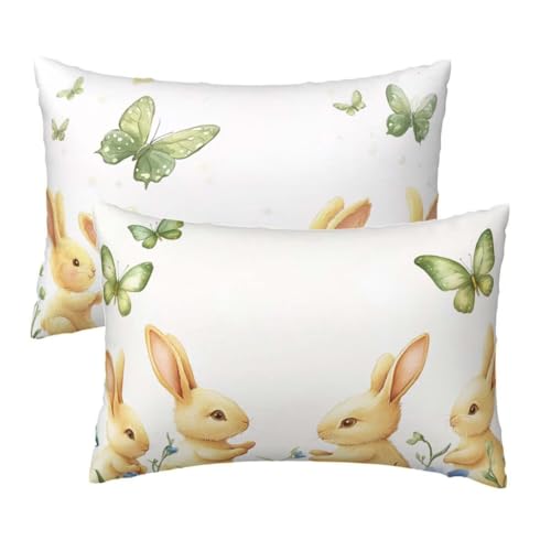 Kopfkissenbezug 40x60 cm 2er Set, Kissenbezug 40x60 cm Weiß Sofakissen Bezug, Weich Samt Dekokissen Kissenbezüge, Niedlich Muster Zierkissen Bezüge für Deko Wohnzimmer Sofa, Geschenke für Frauen R-65 von Lihogbo