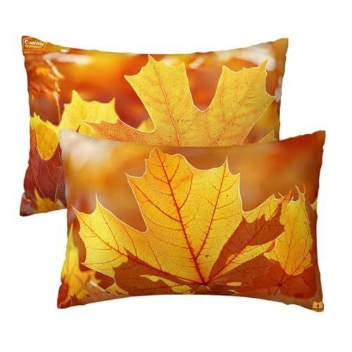 Kopfkissenbezug 50x80 cm 2er Set, Kissenbezug 50x80 cm Herbst Sofakissen Bezug, Weich Samt Dekokissen Kissenbezüge, Blätter Muster Zierkissen Bezüge für Deko Wohnzimmer Sofa, Geschenke für Frauen R-95 Kopfkissenbezug 50x80 cm 2er Set, Kissenbezug 50x80 cm Herbst Sofakissen Bezug, Weich Samt Dekokissen Kissenbezüge, Blätter Muster Zierkissen Bezüge für Deko Wohnzimmer Sofa, Geschenke für Frauen R-95 von Lihogbo