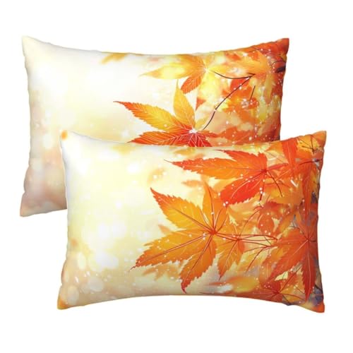 Kopfkissenbezug 70x90 cm 2er Set, Kissenbezug 70x90 cm Gelb Sofakissen Bezug, Weich Samt Dekokissen Kissenbezüge, Herbst Muster Zierkissen Bezüge für Deko Wohnzimmer Sofa, Geschenke für Frauen F-95 Kopfkissenbezug 70x90 cm 2er Set, Kissenbezug 70x90 cm Gelb Sofakissen Bezug, Weich Samt Dekokissen Kissenbezüge, Herbst Muster Zierkissen Bezüge für Deko Wohnzimmer Sofa, Geschenke für Frauen F-95 von Lihogbo