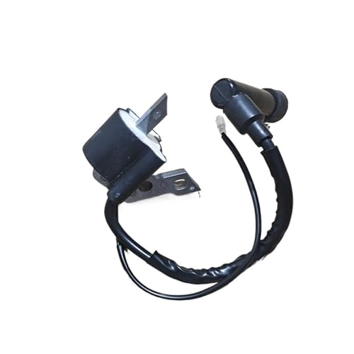 154156 Zündspule passend for 1KW 154F156F Motor, Spannungseinstellung for Generator-Ersatzteile 15001800 von LiiZZi