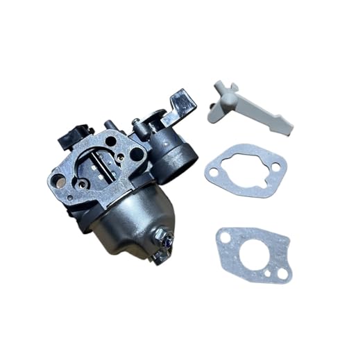 LiiZZi VERGASER 18MM ODER 19MM FIT for GP160 GP200 WB20 WB30 5,5 HP 6,5 HP WASSERPUMPE GO Kart SIEB(GP160 WB20 18MM) von LiiZZi