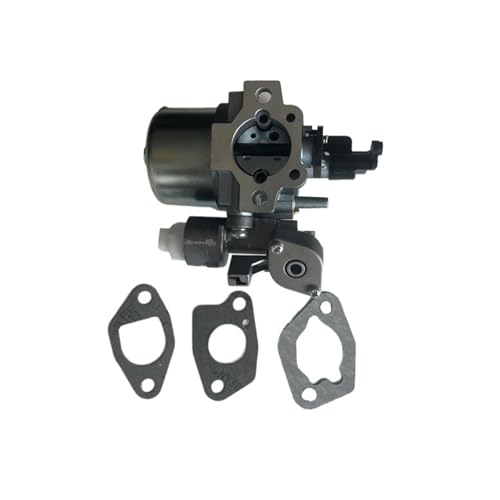 LiiZZi Vergaserdichtungssatz passend for RY80030 RY80030A 7 PS Hochdruckreiniger 3000 PSI 2,7 GPM LiiZZi Vergaserdichtungssatz passend for RY80030 RY80030A 7 PS Hochdruckreiniger 3000 PSI 2,7 GPM von LiiZZi