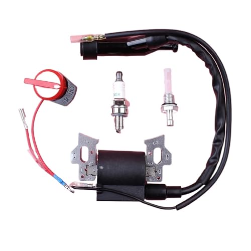 Zündspule Stoppschalter Kraftstofffilter Stecker Kit Fit for GX200 GX160 6,5 PS 5,5 PS Kleine Motor Motor Teile von LiiZZi