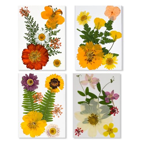 Elegante Gepresste Echte Blumenkits 32pcs Getrocknete Blumen Für Kreative Handgefertigte Projekte Geschenkideen Und Basteldesigns Gepresste Blumen Handwerkskits Elegante Gepresste Echte Blumenkits 32pcs Getrocknete Blumen Für Kreative Handgefertigte Projekte Geschenkideen Und Basteldesigns Gepresste Blumen Handwerkskits von Lilinzhi