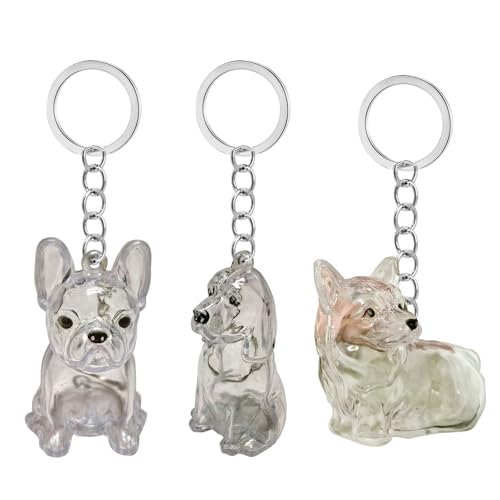 Lilinzhi Clear Dog Fells Storage Box Haarsammler Wasserdichtes Andenken Schlüsselbund Für Haustierbesitzer Um Kostbare Erinnerung Nie von Lilinzhi