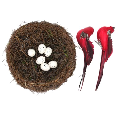 Natural Rattan Birdhouse Basket Set Mit Gefiedertem Mit Kunsteiern Für Frühlingshause Inszenierung Fotografie Requisiten Vogel Nest Dekoration Natural Rattan Birdhouse Basket Set Mit Gefiedertem Mit Kunsteiern Für Frühlingshause Inszenierung Fotografie Requisiten Vogel Nest Dekoration von Lilinzhi