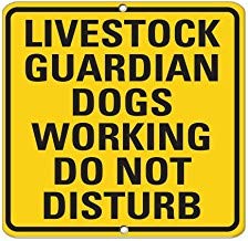 LilithCroft99 Warnschild "Livestock Guardian Dogs Working Do Not Disturb", Metall-Aluminium-Warnschild, dekoratives Metall-Blechschild, 30,5 x 30,5 cm LilithCroft99 Warnschild "Livestock Guardian Dogs Working Do Not Disturb", Metall-Aluminium-Warnschild, dekoratives Metall-Blechschild, 30,5 x 30,5 cm von LilithCroft99