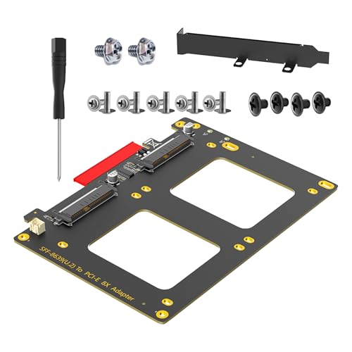 Lily Brown Speicherlösung Mit Hoher Kapazität Und 2 SFF8639-auf PCIe-8X Schnittstellenadaptern von Lily Brown