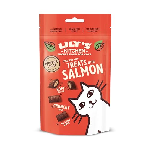 Lily's Kitchen Katzen Natürliche getreidefreie Kissen- Leckerlis für Katzen 10er Pack (10 x 60g) mit Lachs von Lily's Kitchen