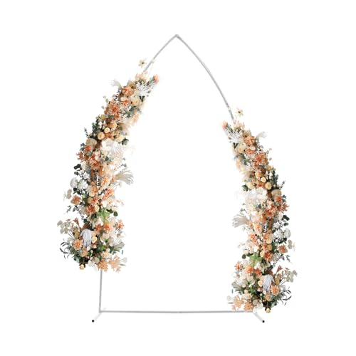 7.35FT Hochzeit Bogen Hintergrund Stand Metall Hochzeitsbogen Blume Rahmen intergrund Stand für Outdoor Garden DIY Dekoration (Weiß) von Lilyeriy