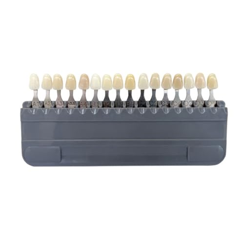 16/29 Farben Dentals Lab Bleaching Shade Guide 3D Teeth Whiten Vergleich Zahn Guide Zahnmedizin Klinik Colorimetric von Limtula