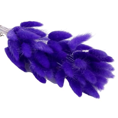 55pcs Natural Dry Pampasgrass 17 7 Zoll Getrocknete Kaninchen Schwänze Getrocknete Für Home Decoration Hochzeitsblumenarrangements von Limtula