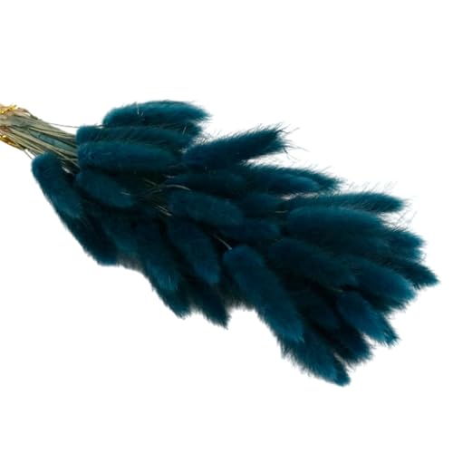 55pcs Natural Dry Pampasgrass 17 7 Zoll Getrocknete Kaninchen Schwänze Getrocknete Für Home Decoration Hochzeitsblumenarrangements von Limtula