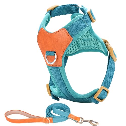 Limtula Kleines Hundekabelbaum Training Weste Größe Ohne Zugdesign Mit Leine Ideal Für Welpen Und Kleine Rassen Hundekabelbaum Limtula Kleines Hundekabelbaum Training Weste Größe Ohne Zugdesign Mit Leine Ideal Für Welpen Und Kleine Rassen Hundekabelbaum von Limtula
