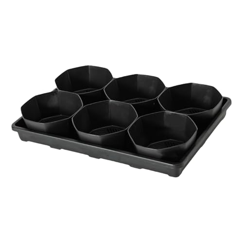 Limtula Verdickte 6 Zell Round Kindergarten Tabletts Mit 6 Zoll Töpfen Pflanzen Shuttle Tablett Für Innen Und Außengarten Sukkulenten Pflanzenschale Pflanzenschale von Limtula