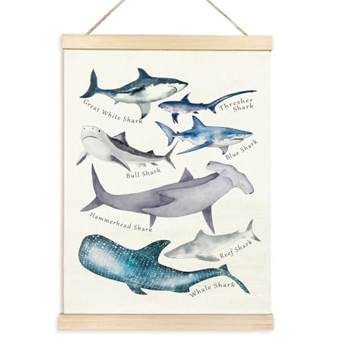 Pädagogisches Wandposter "Meeresleben", Strand für Kinder, mit Tieren für Klassenzimmer, Spielzimmer, Kinderzimmer, Dekoration von Limtula